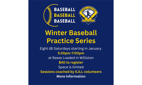 Winter Baseball Practice Series